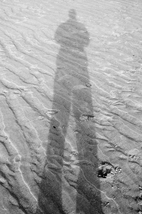 Sandy Shadow